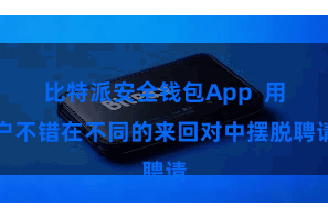 比特派安全钱包App  用户不错在不同的来回对中摆脱聘请